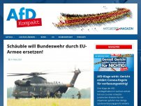 Bild zum Artikel: Schäuble will Bundeswehr durch EU-Armee ersetzen!