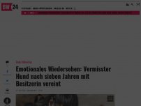 Bild zum Artikel: Emotionales Wiedersehen: Vermisster Hund nach sieben Jahren mit Besitzerin vereint