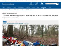 Bild zum Artikel: Müll im Wald abgeladen: Paar muss 10.500 Euro Strafe zahlen