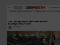 Bild zum Artikel: AfD: Umfrage-Paukenschlag! Partei kann plötzlich Landtagswahl gewinnen