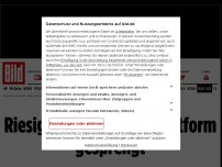 Bild zum Artikel: Vier Deutsche festgenommen - Riesige Kinderporno-Plattform gesprengt