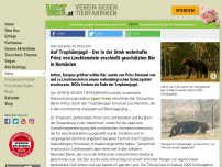 Bild zum Artikel: Auf Trophäenjagd - Der in der Stmk wohnhafte Prinz von Liechtenstein erschießt geschützten Bär in Rumänien