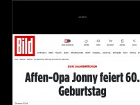 Bild zum Artikel: Zoo Saarbrücken - Affen-Opa Jonny feiert 60. Geburtstag