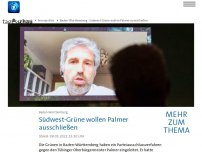 Bild zum Artikel: Baden-Württembergs Grüne wollen Tübinger OB Palmer aus Partei ausschließen