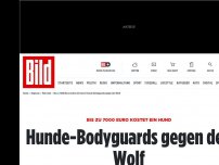 Bild zum Artikel: Kostenpunkt: 7000 Euro - Hunde-Bodyguards gegen den Wolf