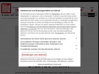 Bild zum Artikel: Maaßen wiederholt Rausschmiss-Satz - „Es gab keine Hetzjagd in Chemnitz“