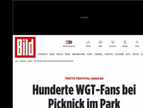 Bild zum Artikel: Trotz Festival-Absage - Hunderte WGT-Fans bei Picknick im Park