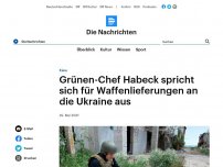 Bild zum Artikel: Kiew - Grünen-Chef Habeck spricht sich für Waffenlieferungen an die Ukraine aus
