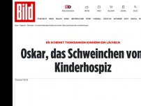 Bild zum Artikel: Er schenkt Todkranken ein Lächeln - Oskar, das Schweinchen vom Kinderhospiz