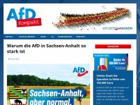 Bild zum Artikel: Warum die AfD in Sachsen-Anhalt so stark ist