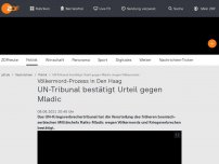 Bild zum Artikel: Kriegsverbrechertribunal fällt Mladic-Urteil
