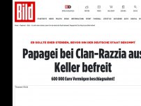 Bild zum Artikel: 600 000 Euro beschlagnahmt! - Papagei bei Clan-Razzia aus Keller befreit