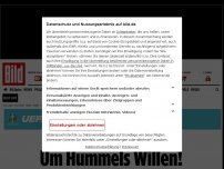 Bild zum Artikel: Bittere Auftakt-Pleite für Jogi! - Hummels schießt Frankreich zum Sieg