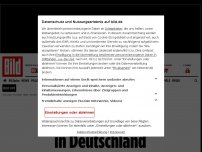 Bild zum Artikel: ABSURDE FORDERUNGEN VON AKTIVISTEN - Woke*-Wahnsinn in Deutschland