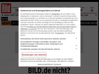 Bild zum Artikel: Neue Studie belegt - PCR-Tests kein Maßstab für Lockdown