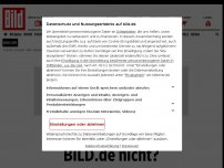Bild zum Artikel: „Schwuchtelbinde“ - AfD-Mann hetzt gegen Manuel Neuer und Schwule!