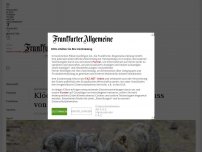 Bild zum Artikel: Klöckner fordert gezielten Abschuss von Wölfen
