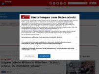 Bild zum Artikel: Vor EM-Spiel: Mitten in München pöbeln wütende Ungarn: 'Schwul,...
