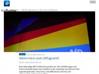 Bild zum Artikel: AfD-Aussteiger packen aus: Wenn Hass zum Alltag wird