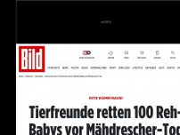 Bild zum Artikel: Kitz komm raus! - Tierfreunde retten 100 Reh- Babys vor Mähdrescher-Tod