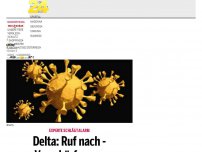 Bild zum Artikel: Delta: Ruf nach ­Verschärfungen