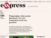 Bild zum Artikel: Plagiatsjäger über grüne Baerbock: „So viel Dummheit noch nie gesehen”