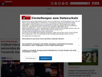 Bild zum Artikel: Nach EM-Niederlage: Fußball-Fan aus Wales sammelt für weinendes...