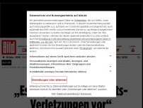 Bild zum Artikel: ZDF-Jurist ändert seine Meinung zu Baerbock - „Es liegen Urheberrechts-Verletzungen vor“