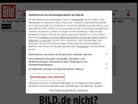 Bild zum Artikel: Unfassbare Vorwürfe an CDU und FDP - Grüne Bloggerin schockt mit Verschwörungstheorie