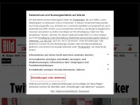 Bild zum Artikel: Er schrieb von Zuwanderer-Gewalt - Twitter sperrt FDP-Politiker