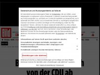 Bild zum Artikel: Neue Buch-Passage aufgetaucht - Baerbock schrieb auch von der CDU ab