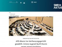 Bild zum Artikel: SPD kritisiert Wahl von AfD-Kandidat in Verfassungsgericht