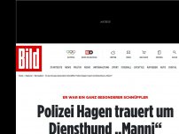 Bild zum Artikel: Er war ganz besonders - Polizei Hagen trauert um Diensthund „Manni“