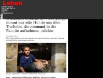 Bild zum Artikel: „Niemand braucht sie“: Der Junge nimmt nur alte Hunde aus dem Tierheim, die niemand in die Familie aufnehmen möchte