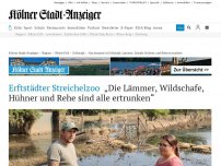 Bild zum Artikel: Erftstädter Streichelzoo: „Die Lämmer, Wildschafe, Hühner und Rehe sind alle ertrunken“