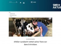 Bild zum Artikel: Eifeler Landwirt rettet seine Tiere vor dem Ertrinken