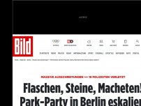 Bild zum Artikel: 15 Polizisten verletzt - Flaschen, Steine, Macheten! Park-Party in Berlin eskaliert