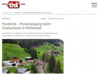 Bild zum Artikel: Pustertal – Murenabgang beim Grabenbach in Mühlwald