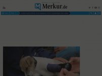 Bild zum Artikel: Im Stau stecken geblieben – Rettungsgasse rettet Hundewelpen das Leben