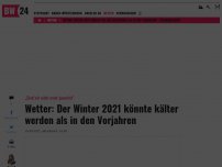 Bild zum Artikel: Wetter: Der Winter 2021 könnte kälter werden