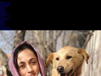 Bild zum Artikel: Afghanistan: Soldat gründete Tierheim für afghanische Straßenhunde – jetzt will er die Angestellten retten
