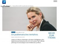 Bild zum Artikel: Berateraffäre der AfD: Ein problematisches Verhältnis