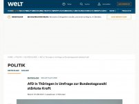 Bild zum Artikel: AfD in Thüringen in Umfrage zur Bundestagswahl stärkste Kraft