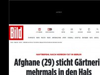 Bild zum Artikel: Horror-Tat in Berlin - Afghane (29) sticht Frau mehrmals in den Hals