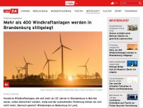 Bild zum Artikel: Förderung ausgelaufen: Mehr als 400 Windkraftanlagen werden in Brandenburg stillgelegt