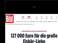 Bild zum Artikel: Großspende für Zoo Gelsenkirchen - 127 000 Euro für die große Eisbär-Liebe
