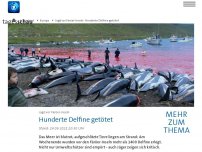 Bild zum Artikel: Massentötung von Delfinen auf Färöer-Inseln