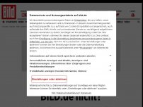 Bild zum Artikel: „Vorwürfe gegen sie wiegen schwer“ - WDR setzt Sende-Start mit Skandal-Moderatorin aus