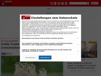 Bild zum Artikel: Vier Tiere verschüttet - Große Trauer im Münchner Tierpark: Alle Erdmännchen sterben nach Erdrutsch
