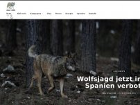 Bild zum Artikel: Wolfsjagd jetzt in ganz Spanien verboten!